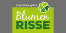 Logo Blumen Risse GmbH & Co. KG in Köln